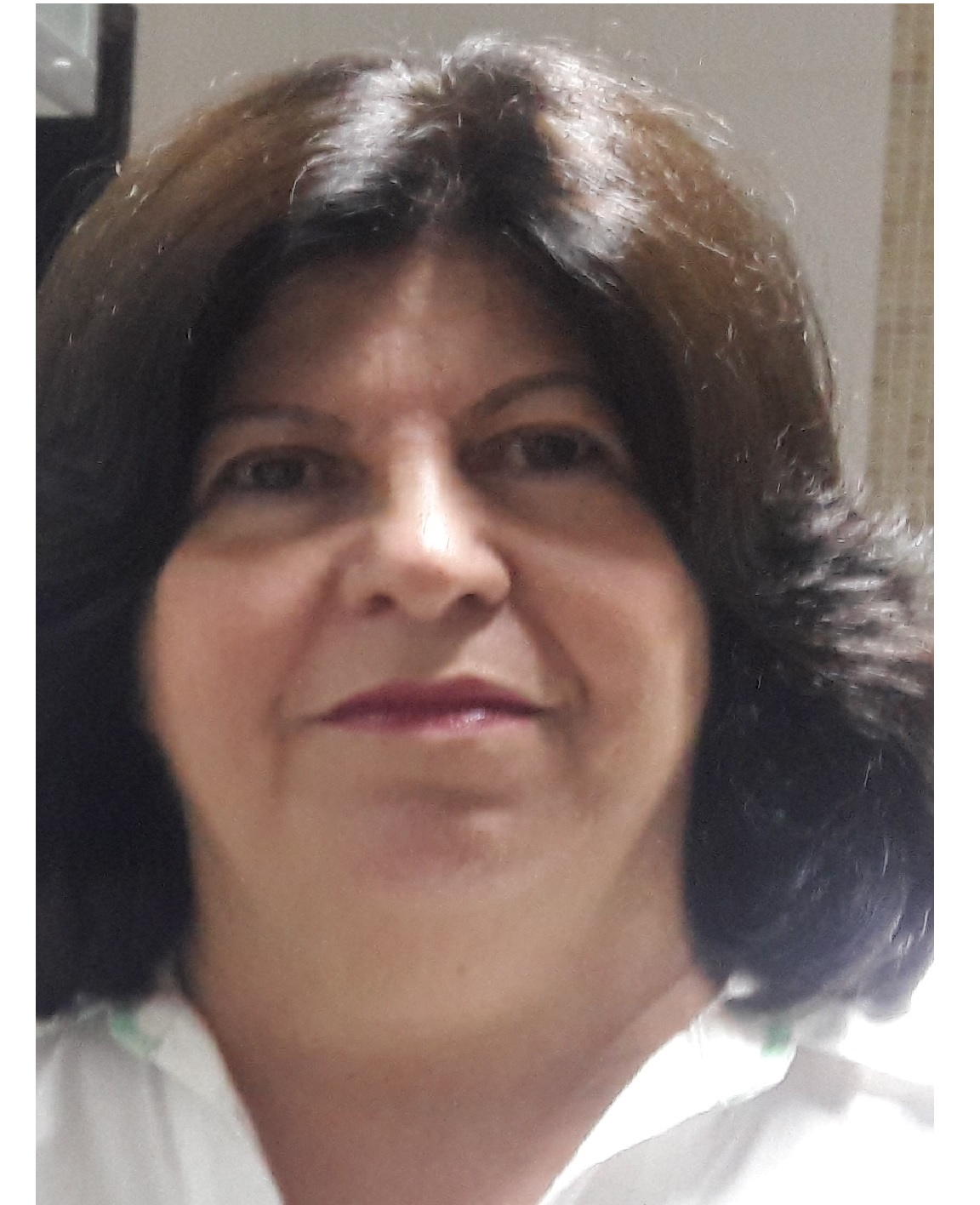 Rosa Maria Moraes Anunciato