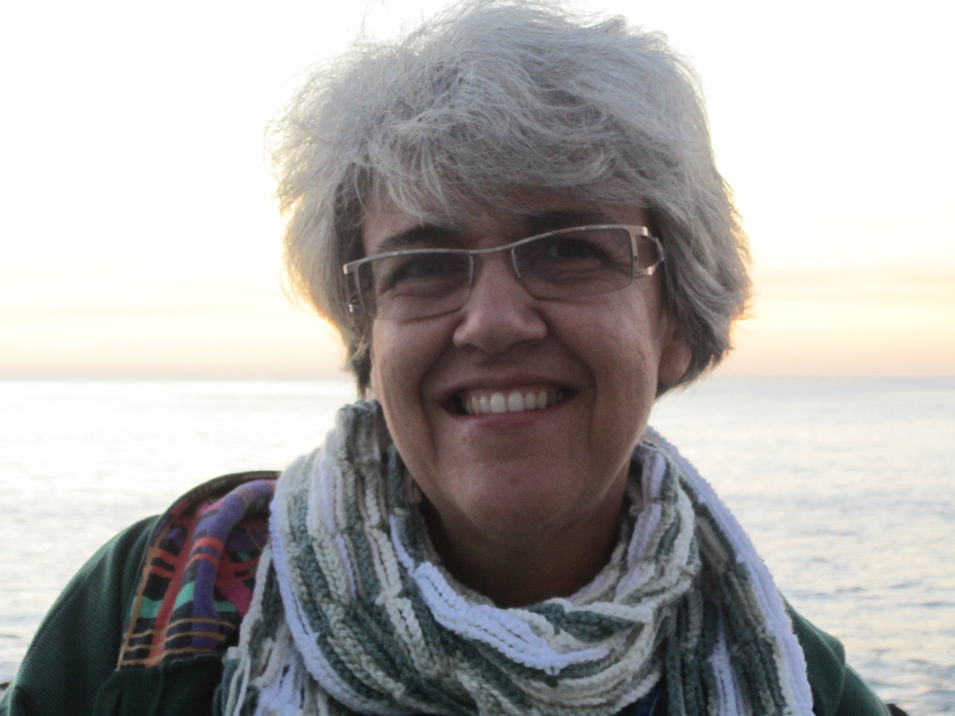 Mônica Baltazar Diniz Signori