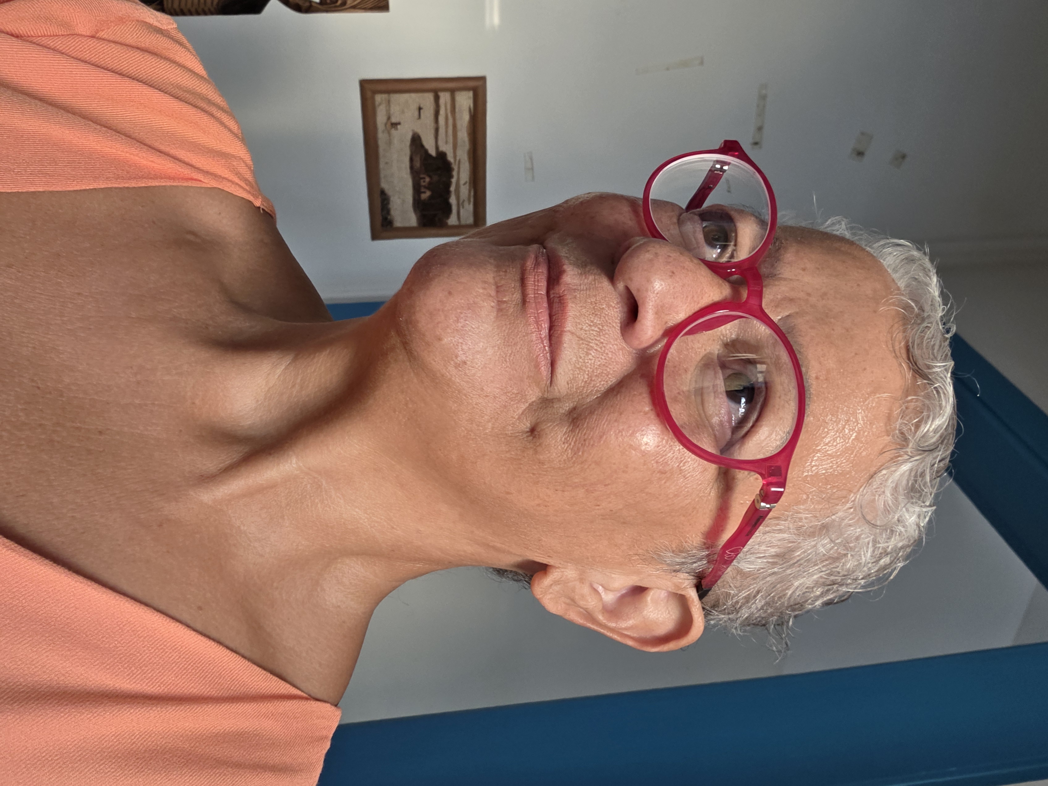 Norma Felicidade Lopes da Silva Valencio